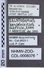 Etikette zu Selatosomus (Selatosomus) beysehiricus (Mertlik, 2000) (NHMW-ZOO-COL-0008376)